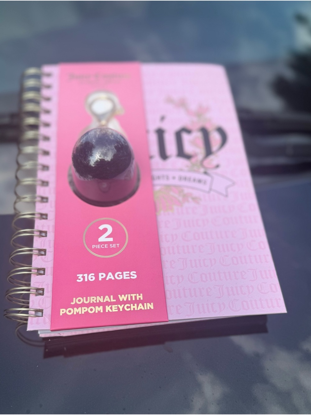 Juicy Couture pink journal 📔